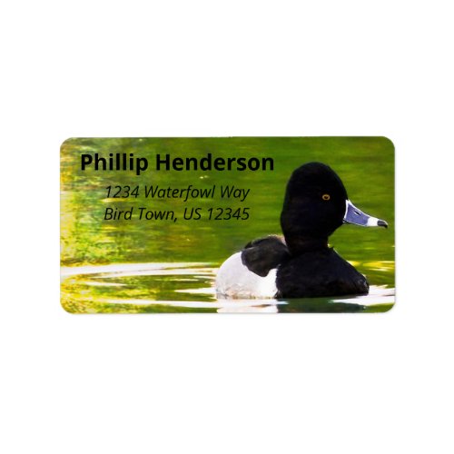 Ring_Necked Ducks Black  White Birds Green Water Label