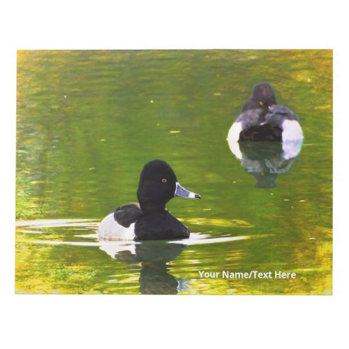 Ring_Necked Ducks Black  White Birds Green Water Notepad