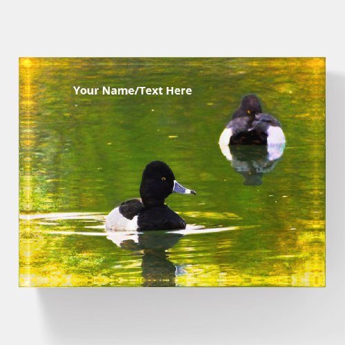 Ring_Necked Ducks Black  White Birds Green Water Paperweight