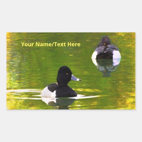 Ring_Necked Ducks Black  White Birds Green Water Rectangular Sticker