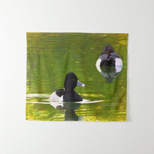 Ring_Necked Ducks Black  White Birds Green Water  Tapestry