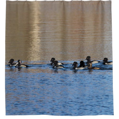 Ring_necked ducks shower curtain