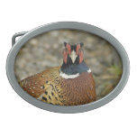 Ring Necked Pheasant Belt Buckle