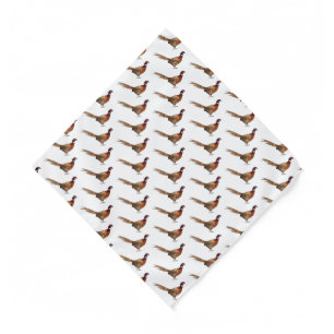 Ring-necked pheasant bird cartoon illustration  bandana