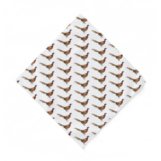 Ring-necked pheasant bird cartoon illustration  bandana