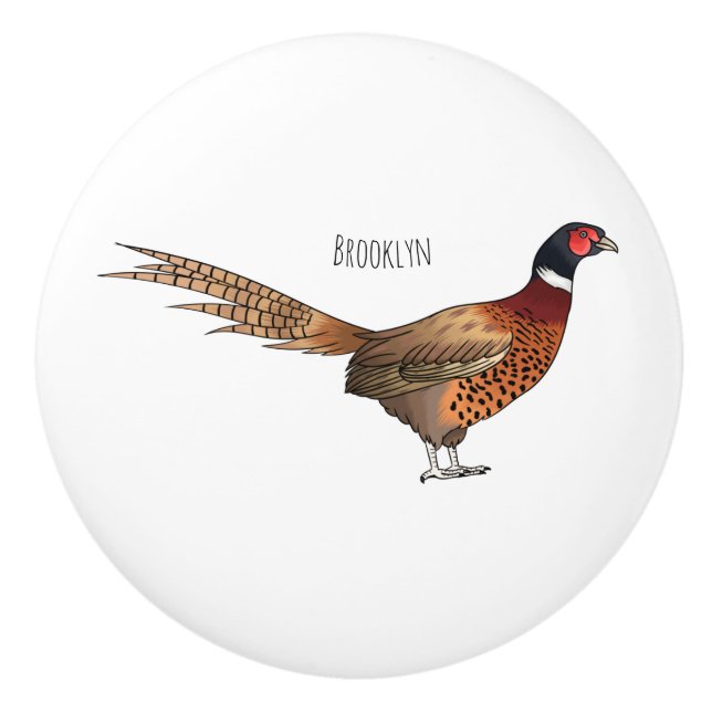 Ring-necked pheasant bird cartoon illustration ceramic knob (Front)