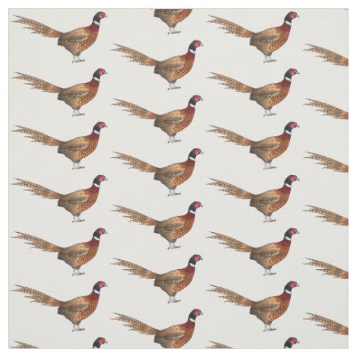 Ring-necked pheasant bird cartoon illustration  fabric