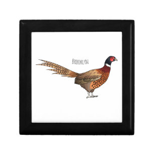 Ring-necked pheasant bird cartoon illustration gift box
