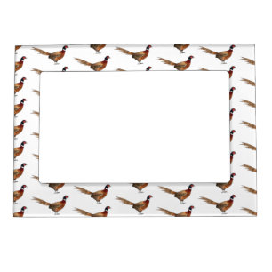Ring-necked pheasant bird cartoon illustration  magnetic frame