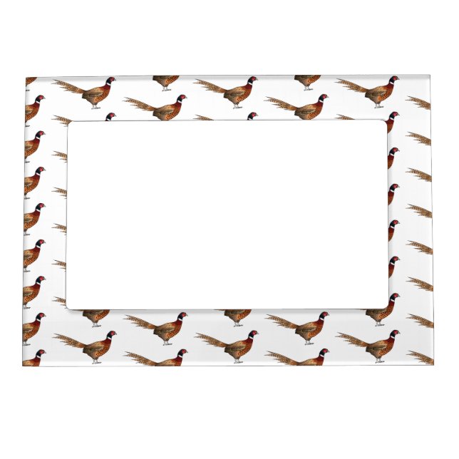 Ring-necked pheasant bird cartoon illustration  magnetic frame (Front)