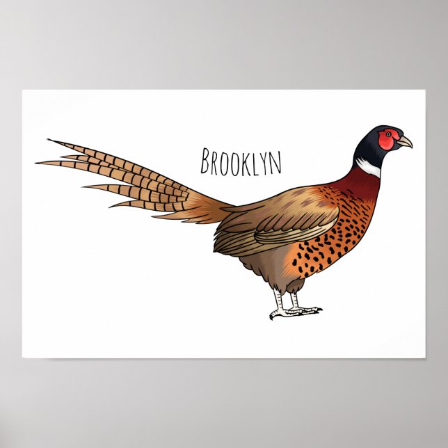 Ring-necked pheasant bird cartoon illustration  poster (Front)