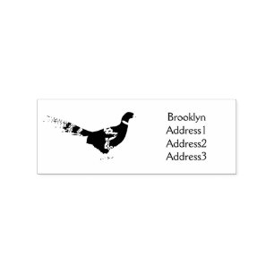 Ring-necked pheasant bird cartoon illustration  rubber stamp