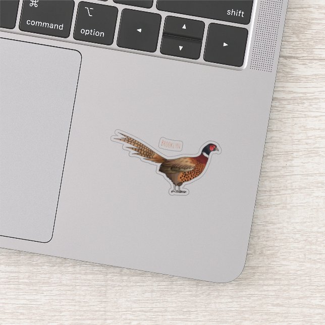 Ring-necked pheasant bird cartoon illustration  sticker (Detail)