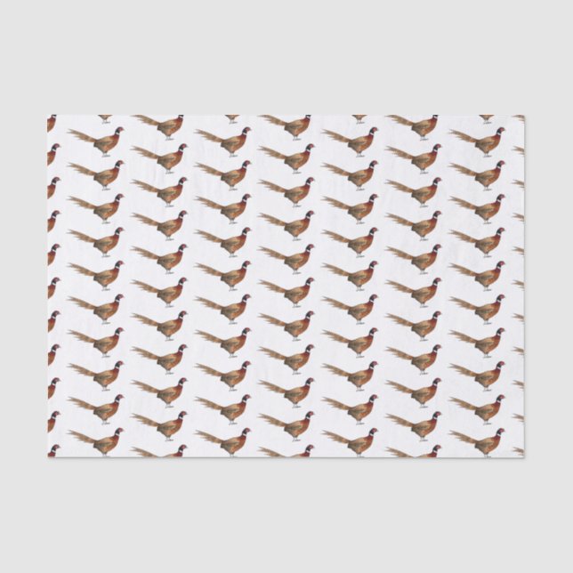 Ring-necked pheasant bird cartoon illustration  tissue paper (Front)