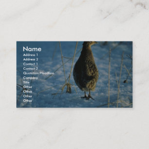 Ring-necked pheasant business card