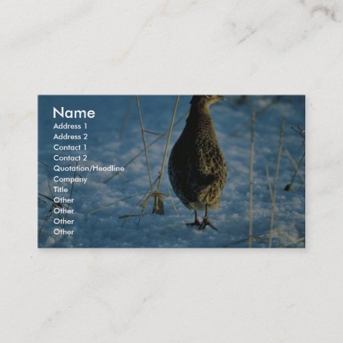Ring-necked pheasant business card templates