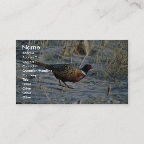 Ring-necked pheasant business card template