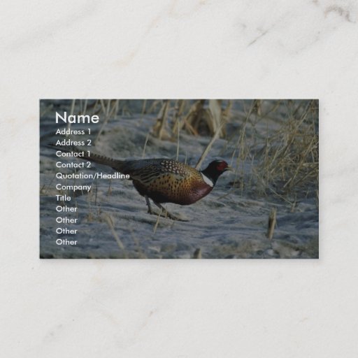 Customizable Ring-necked pheasant business card template