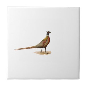 Ring-necked Pheasant Ceramic Tile