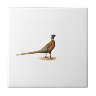 Ring-necked Pheasant Ceramic Tile