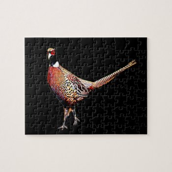 Ring Necked Pheasant Jigsaw Puzzle by AmSymbols at Zazzle