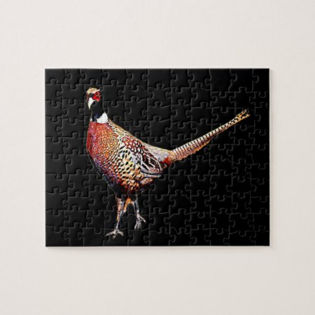 Ring Necked Pheasant Jigsaw Puzzle