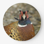 Ring Necked Pheasant Large Clock