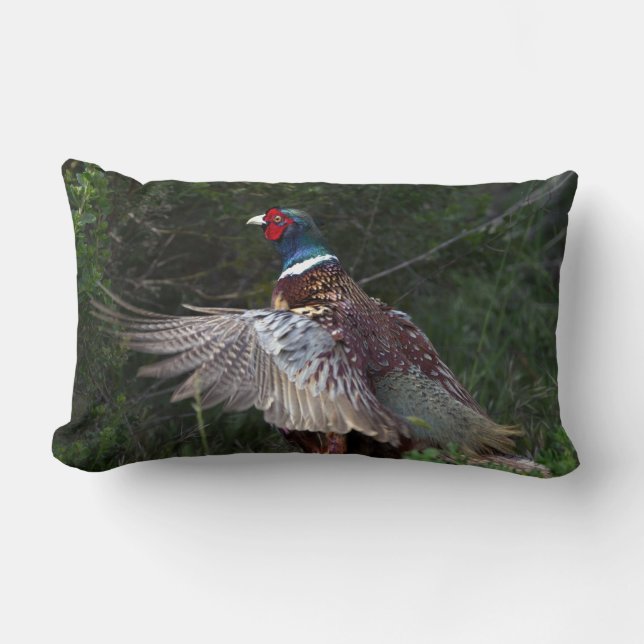Ring Necked Pheasant Lumbar Pillow (Front)