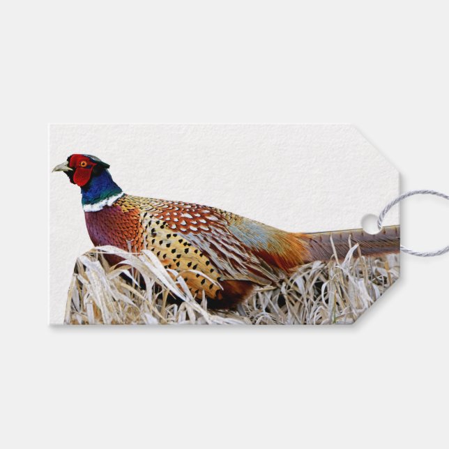 Ring-necked Pheasant Photo Gift Tag (Front (Horizontal))