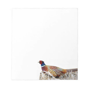 Ring-necked Pheasant Photo Stationery Note Pad