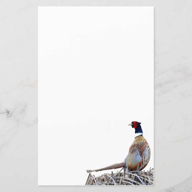 Ring-necked Pheasant Photo Stationery Paper (Front)
