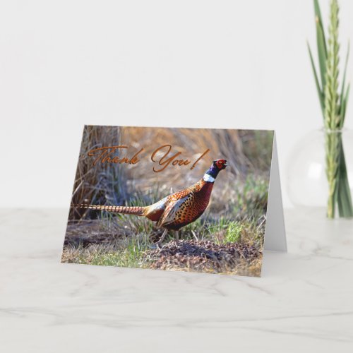 Ring_necked Pheasant Photo Thank You Card
