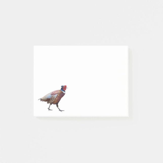 Ring Necked Pheasant Post-it Notes (Front)