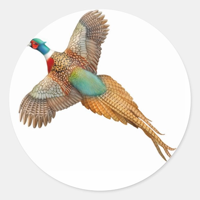 Ring Necked Pheasant Sticker (Front)