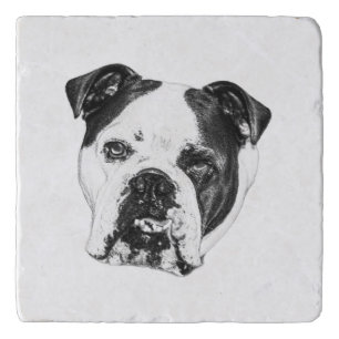 Ring-Safe Bulldog Coaster