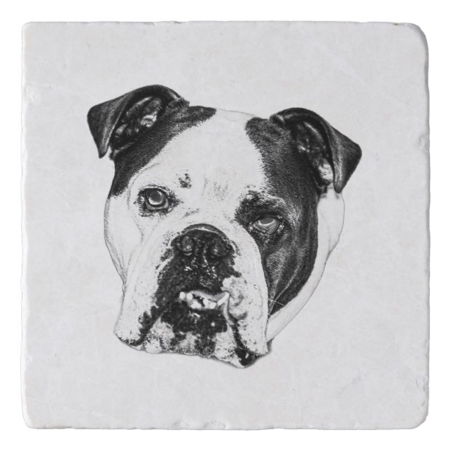 Ring-Safe Bulldog Coaster (Front)