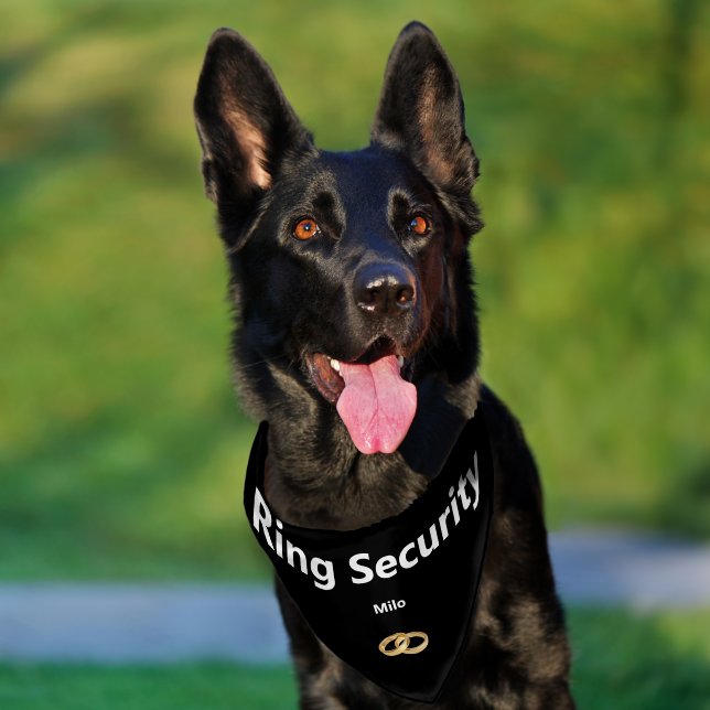 Ring Security Gold Wedding Bands Dog's Name Pet Bandana Collar (Dog)