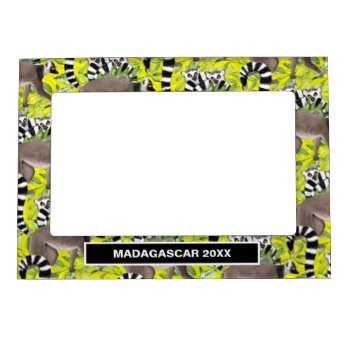 Ring Tail Lemurs Of Madagascar Vacation Souvenir Magnetic Frame by DoodleDeDoo at Zazzle