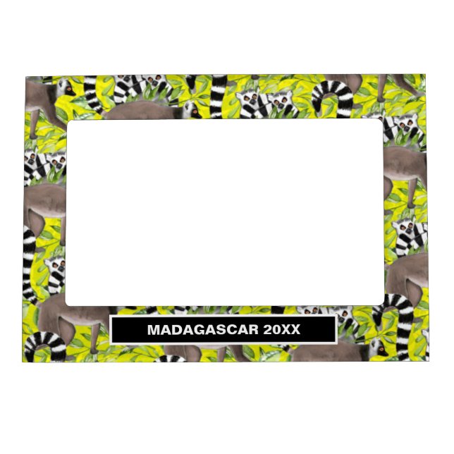 Ring Tail Lemurs of Madagascar Vacation Souvenir Magnetic Frame (Front)