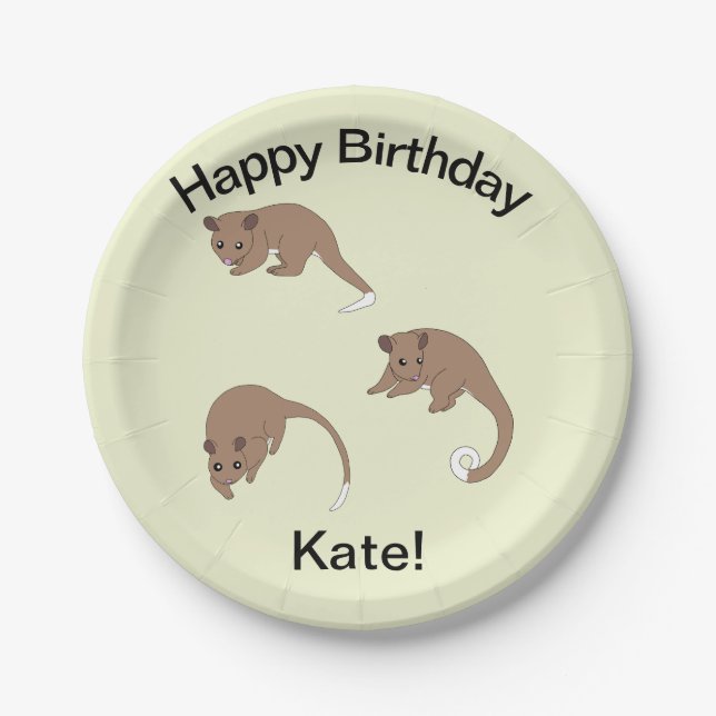 Ring Tail Possums   Paper Plates (Front)