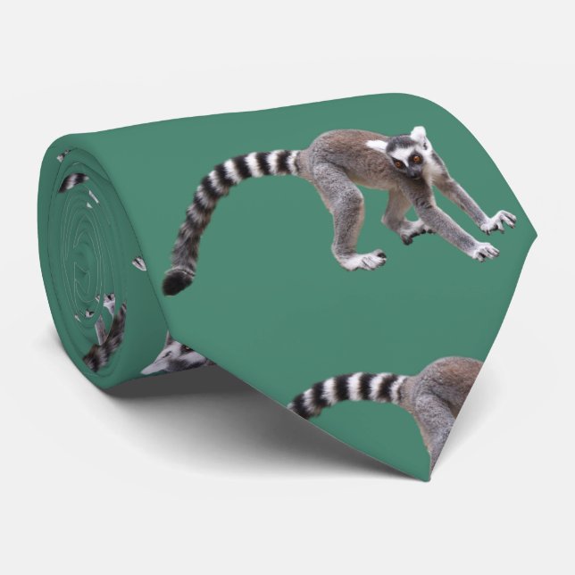 Ring-tailed lemur ネクタイ neck tie (Rolled)