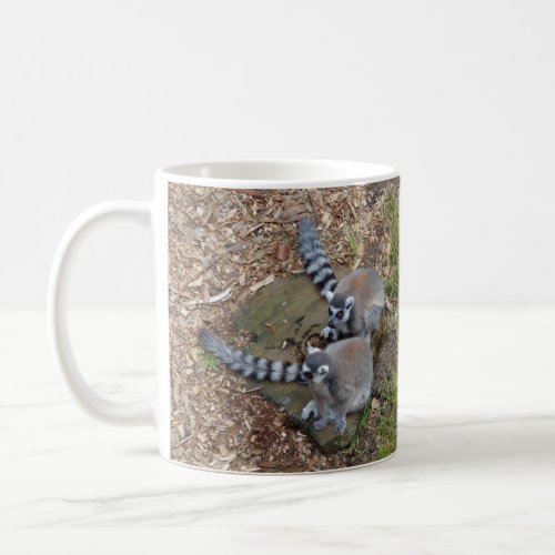 Ring_tailed Lemur 1 Mug