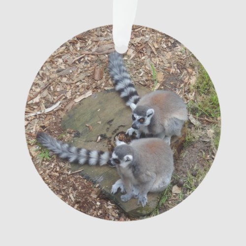 Ring_tailed Lemur 1 Ornament