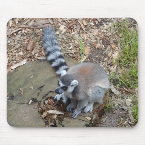 Ring_tailed Lemur 2 Mouse Pad