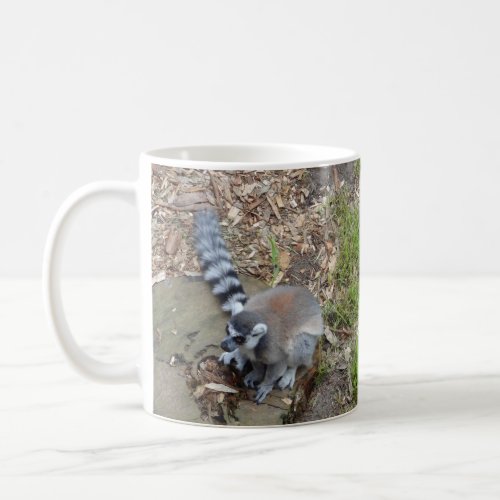 Ring_tailed Lemur 2 Mug