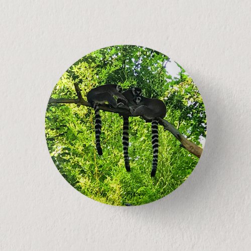 Ring_tailed Lemur 3 Button