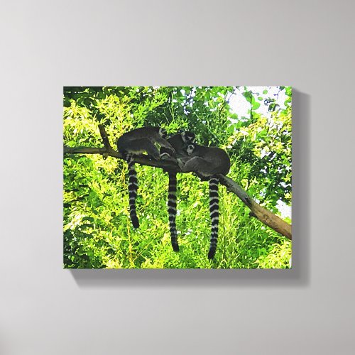 Ring_tailed Lemur 3 Canvas