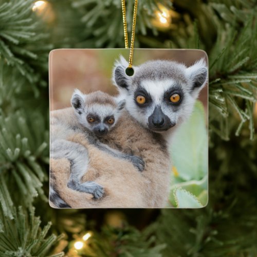 Ring_Tailed Lemur Baby on its Mothers Back Ceramic Ornament