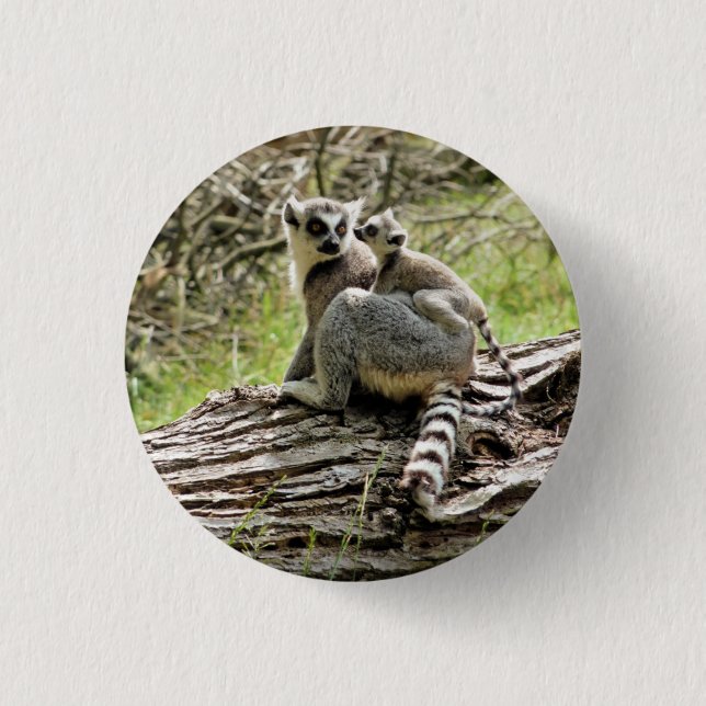 RING-TAILED LEMUR    BUTTON (Front)