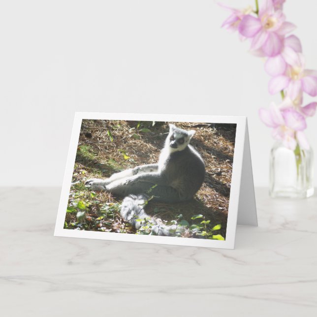 Ring-tailed lemur card (Orchid)